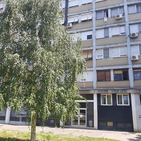 Blue Danube Apartment Belgrad Exterior foto