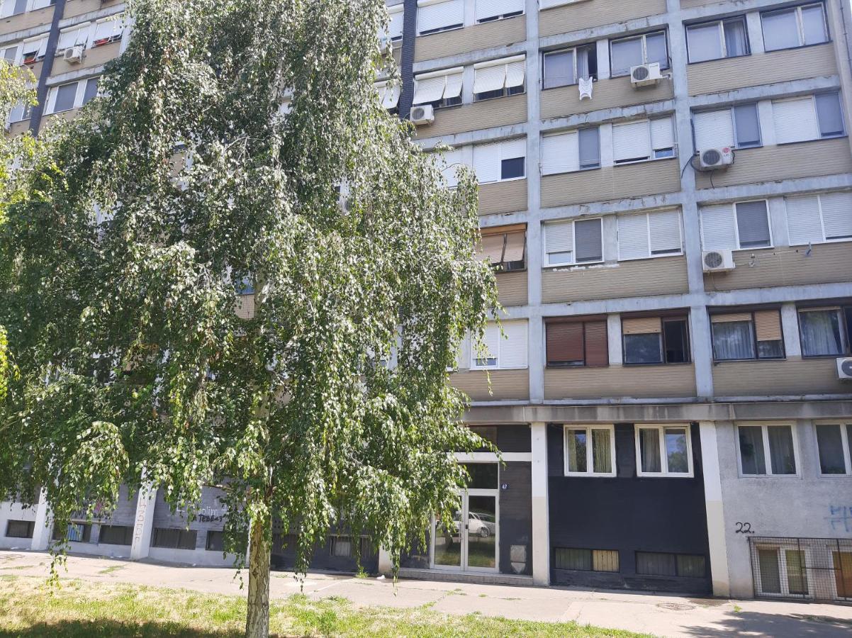 Blue Danube Apartment Belgrad Exterior foto
